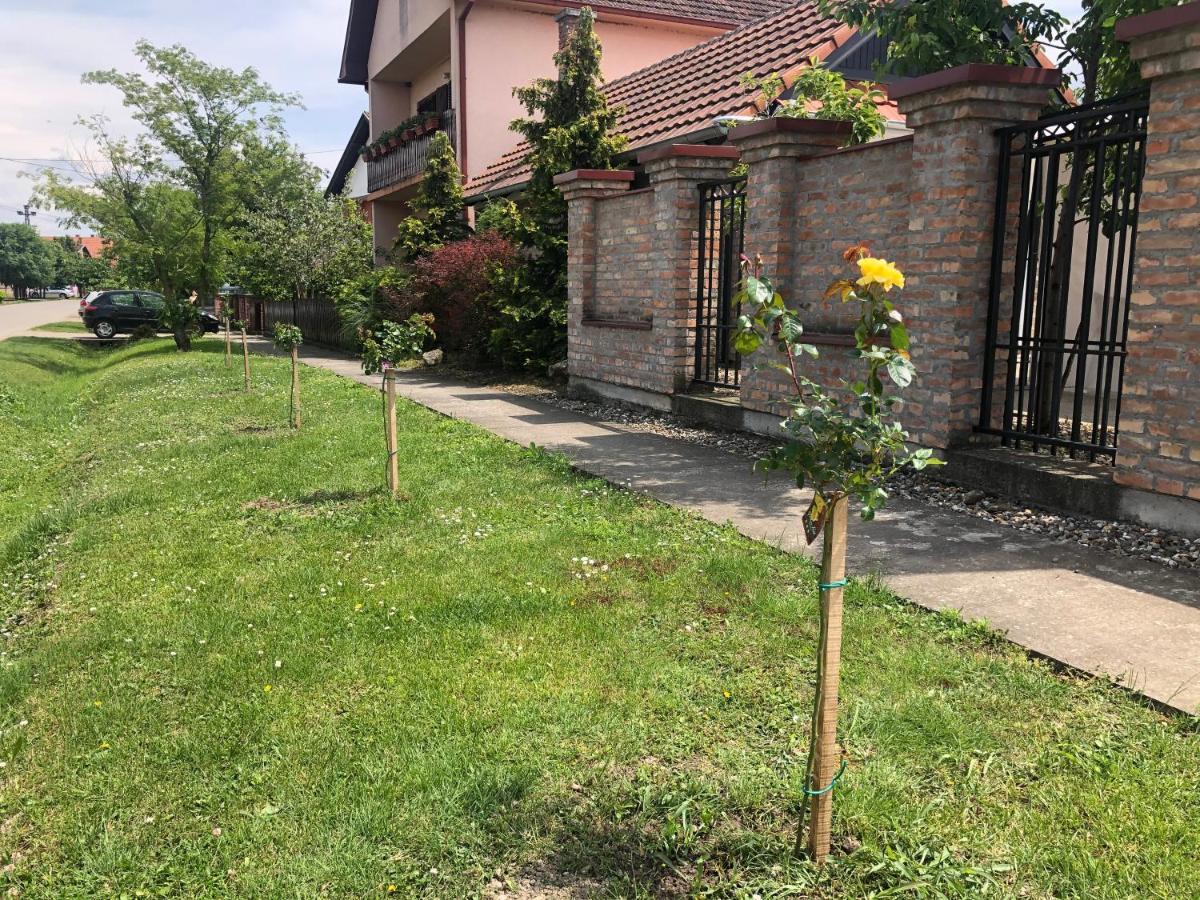 Vila Sunce Morović Екстериор снимка